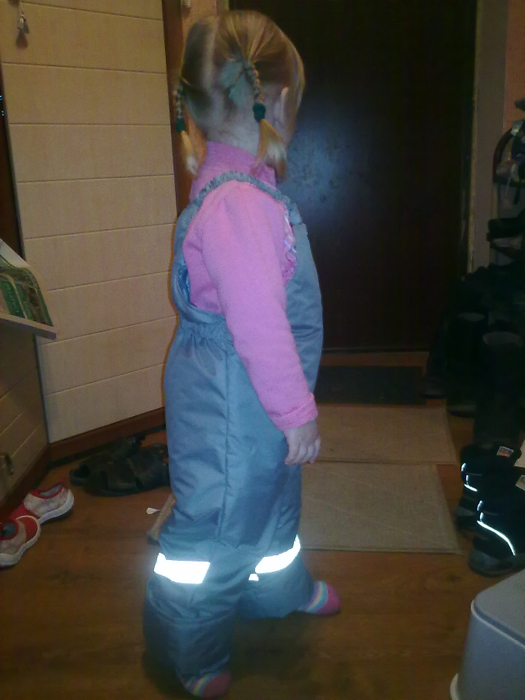 06122011328 (525x700, 331Kb)