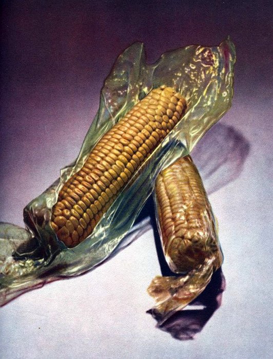 soviet-food-05 (532x700, 96Kb)