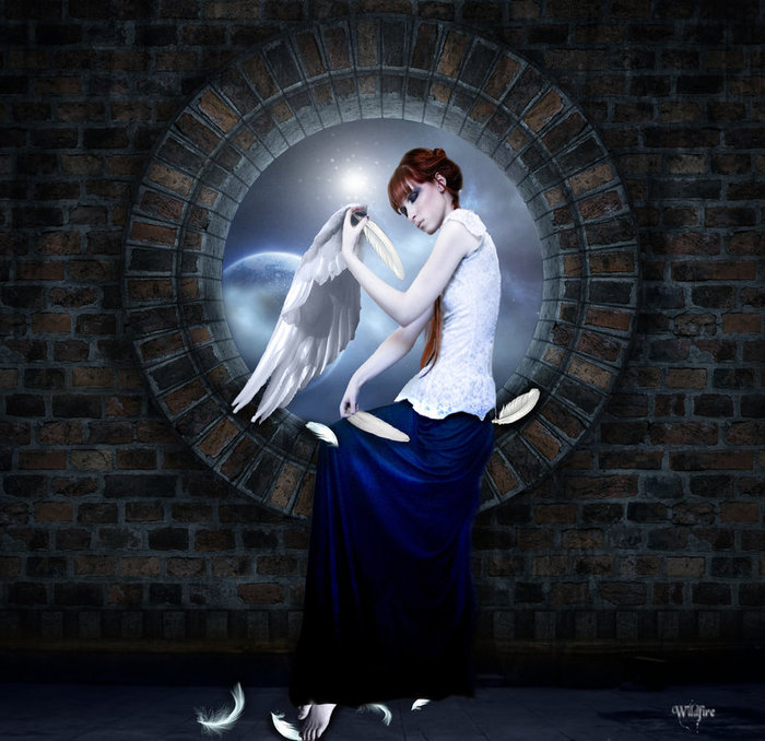 The_Weaver_by_Wildfire2003 (700x678, 103Kb)