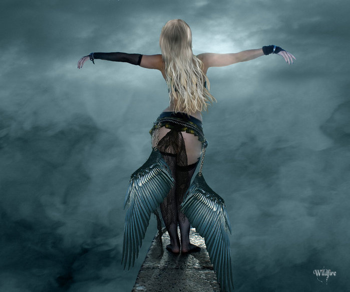 I__m_No_Angel_by_Wildfire2003 (700x583, 59Kb)