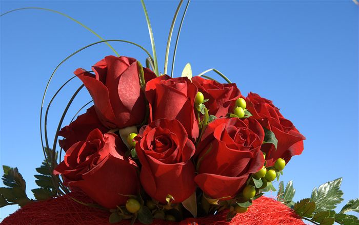 red-roses-bouquet-04475_high (700x438, 49Kb)