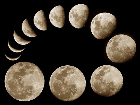 4524271_moon_phases5 (576x432, 37Kb)