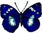 501fadde3b77cecd938a695c475216e7 (87x69, 10Kb)