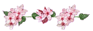 80c44d0629be11086a8cbec4a92d0e1c (250x93, 38Kb)