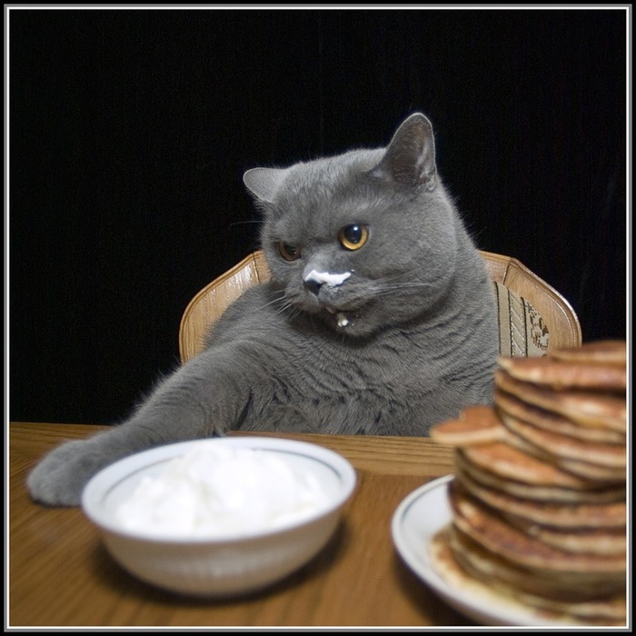 0_3c128_97c3793a_XL (700x700, 113Kb)