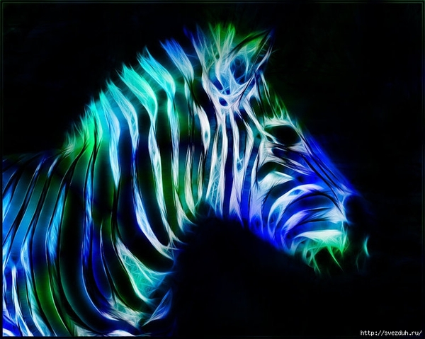 cnml6q6j0eacjcb2 (600x479, 175Kb)