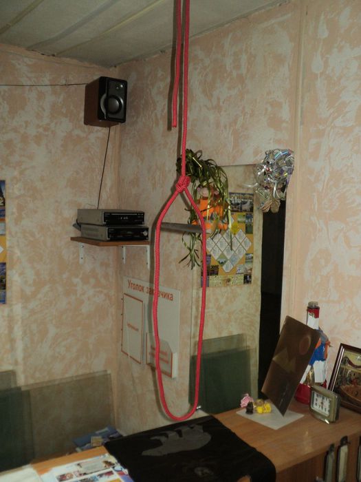 DSC04622 (525x700, 52Kb)