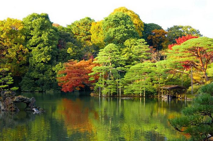 4826692_Rikugiengarden_9 (700x465, 88Kb)
