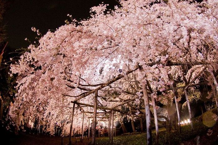 4826692_Rikugiengarden_7 (700x466, 111Kb)