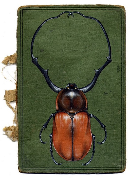 Rose_Sanderson_bugs_2 (513x700, 113Kb)