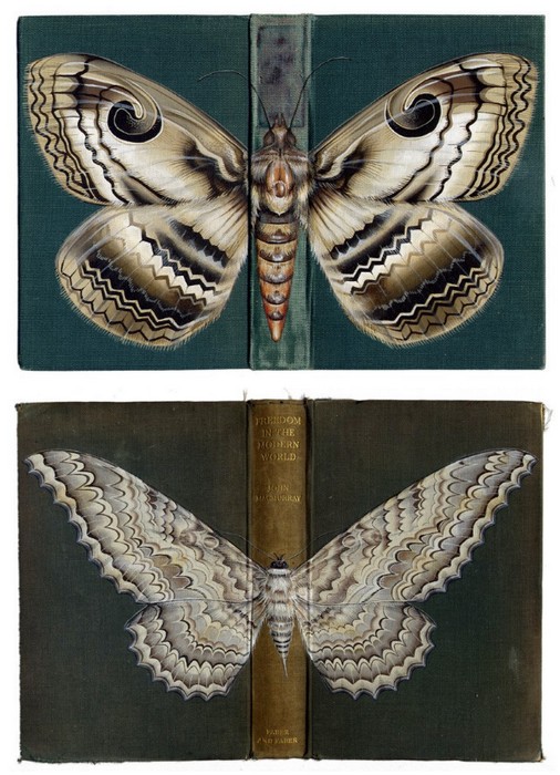Rose_Sanderson_bugs_4 (506x700, 115Kb)