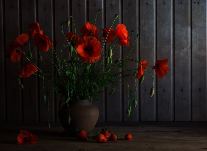 800xdscf7491 (700x511, 79Kb)