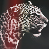 1435011947_91844917_3470510_tumblr_m5owpk3mP91qblwvuo1_500 (100x100, 37Kb)