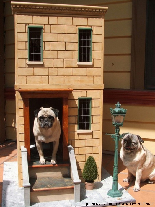 5177462_dog_house_with_viewing_deck11 (525x700, 189Kb)