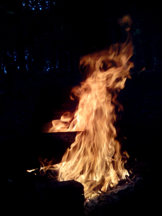 4052195_IMG_20150629_115048 (525x700, 151Kb)