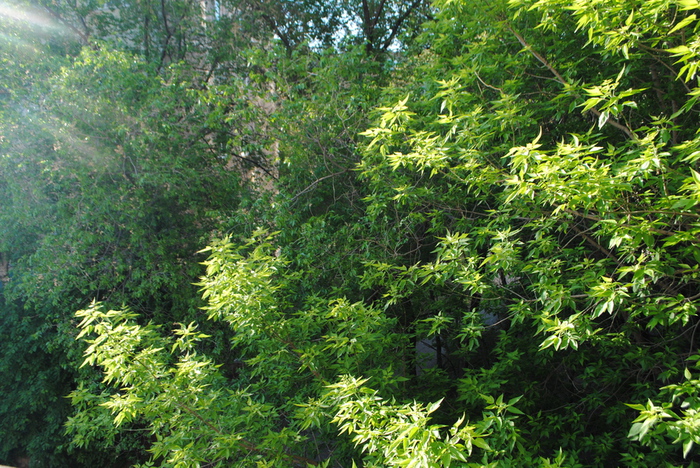 12  (9) (700x468, 329Kb)