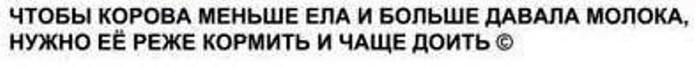   (700x67, 10Kb)