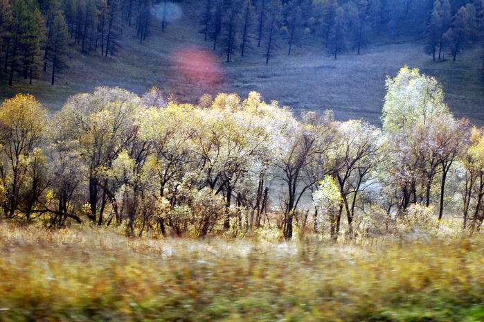 3392780_DSC_0407_1_ (700x465, 149Kb)
