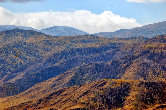 3392780_DSC_0534 (700x465, 149Kb)
