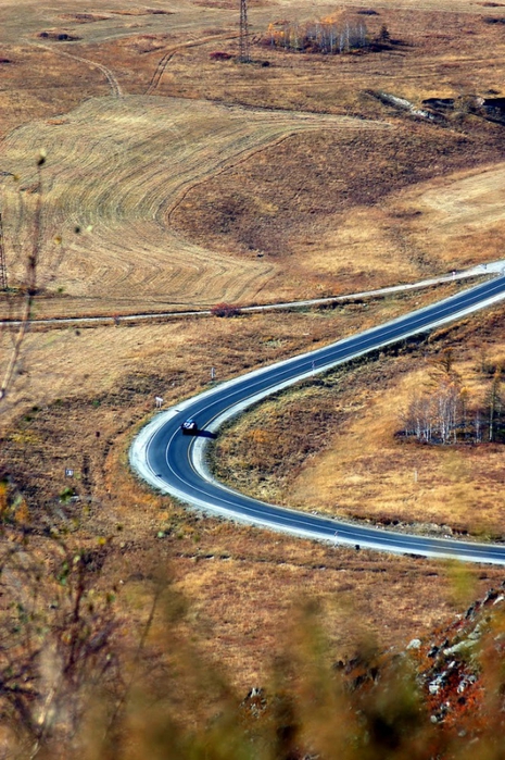 3392780_DSC_0553 (465x700, 319Kb)