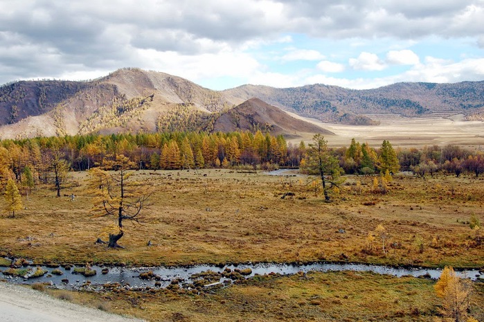 3392780_DSC_0572 (700x465, 153Kb)