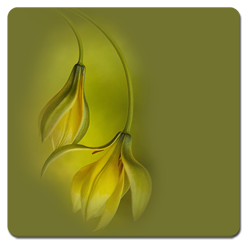 - (250x246, 42Kb)