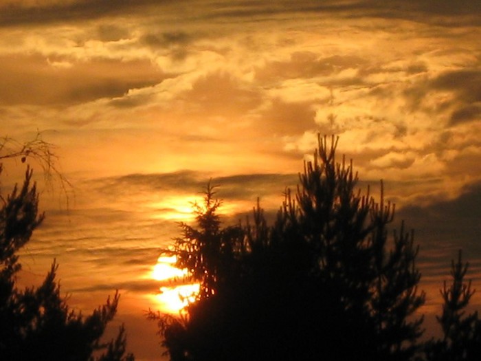 sunset5 (700x525, 66Kb)