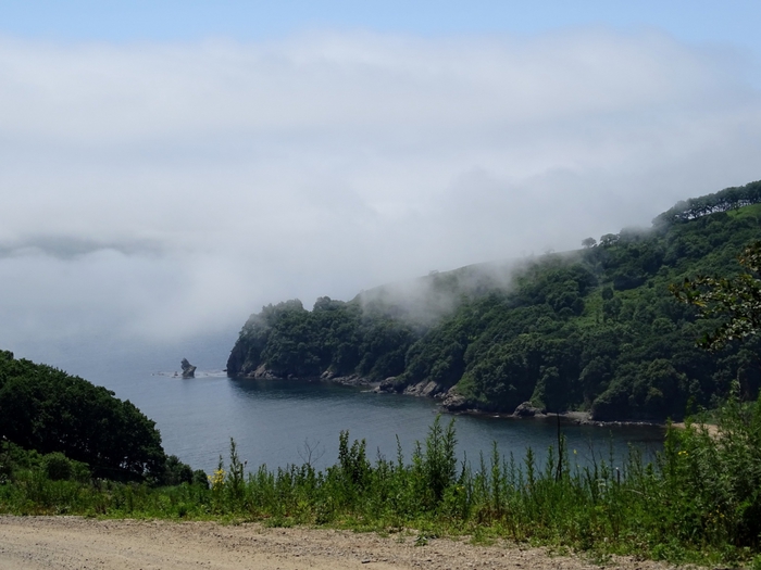 5559494_DSC01158 (700x525, 218Kb)