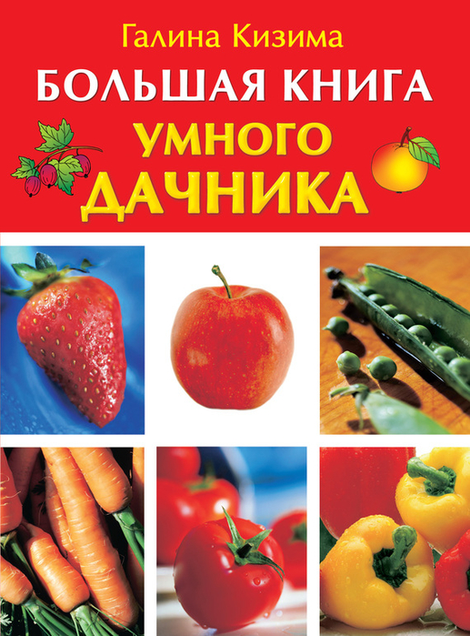 что нужно сделать чтобы завязалась цветная капуста и брокколи. Смотреть фото что нужно сделать чтобы завязалась цветная капуста и брокколи. Смотреть картинку что нужно сделать чтобы завязалась цветная капуста и брокколи. Картинка про что нужно сделать чтобы завязалась цветная капуста и брокколи. Фото что нужно сделать чтобы завязалась цветная капуста и брокколи