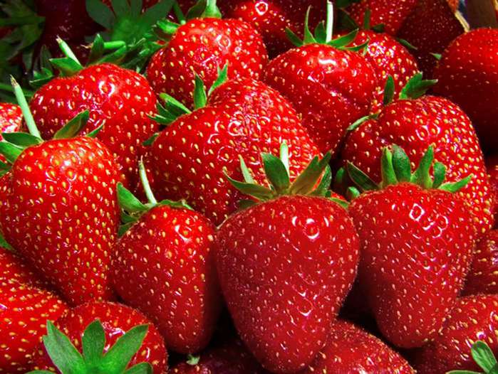 strawberriesu (700x526, 72Kb)