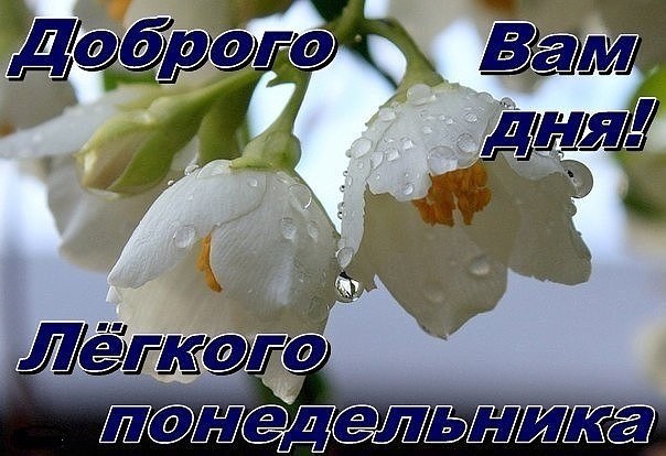 http://img1.liveinternet.ru/images/attach/c/5/123/840/123840431_image__4_.jpg