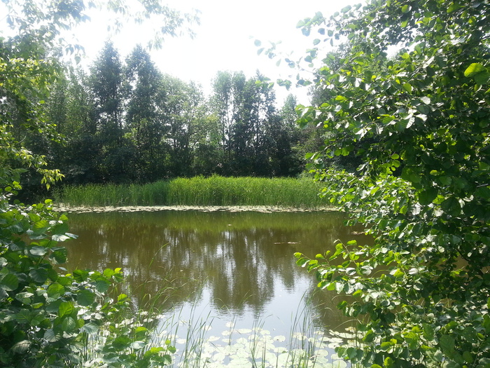 20150709_124005 (700x525, 267Kb)