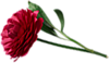 0_afdba_d4f9e465_XS (100x58, 9Kb)