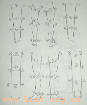 5745884_sy_djok_systavi_3 (300x362, 94Kb)