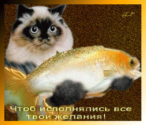 39543601_Untitled3 (504x432, 269Kb)