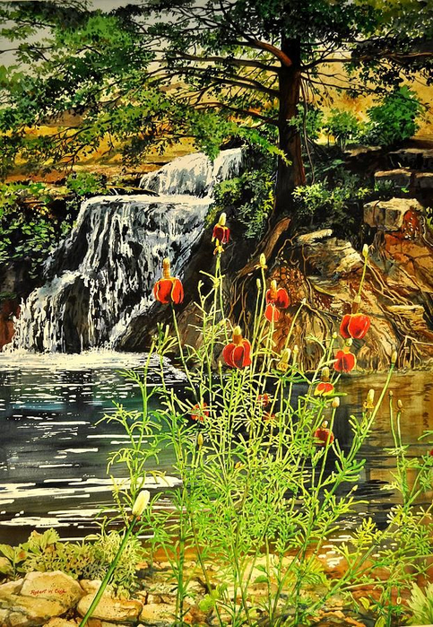 Robert W Cook watercolor (483x700, 612Kb)
