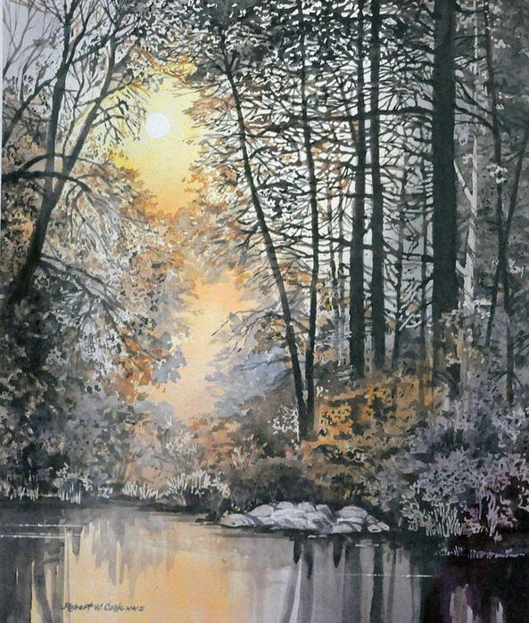 Light Through the Woods Print by Robert W Cook (593x700, 520Kb)