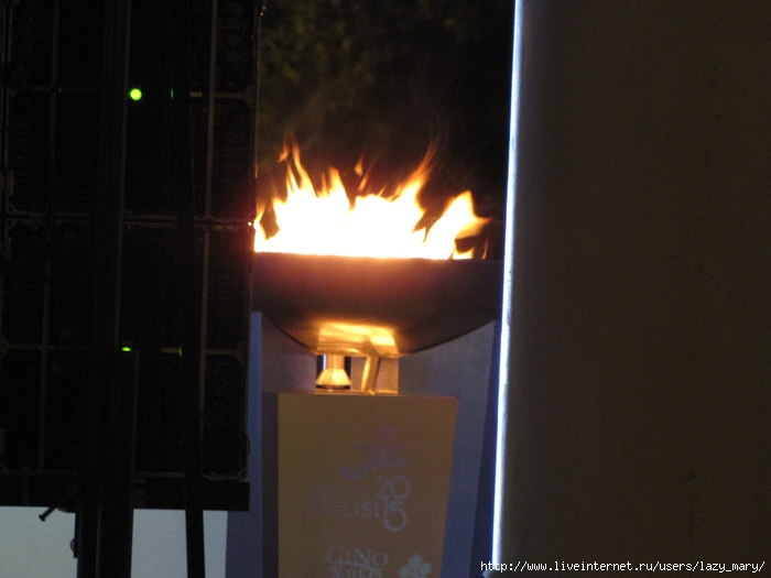 IMG_0063 (700x525, 213Kb)