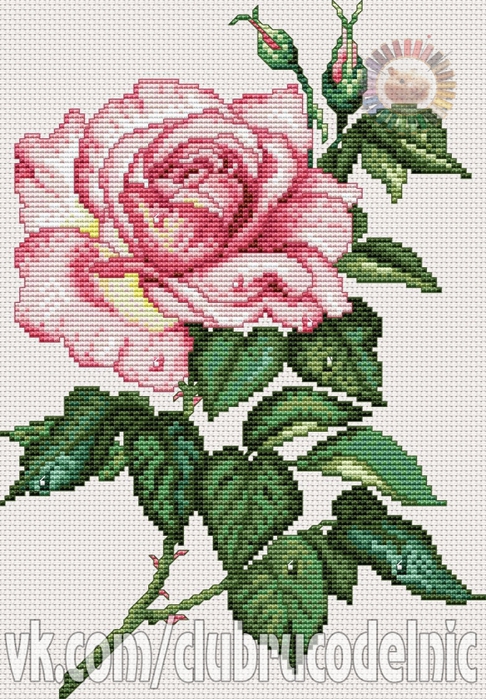 5630023_Radiant_Rose (486x700, 348Kb)