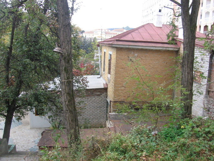 IMG_5689 (700x525, 151Kb)