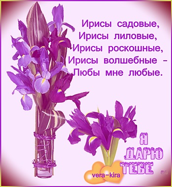 День ирисок 23 мая картинки