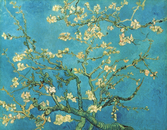 Van-Gogh-cvetuschaya_vetka_mindalya (700x545, 599Kb)