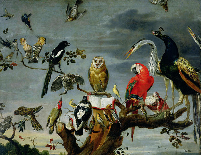3623822_concertofbirdsfranssnijders (700x541, 100Kb)