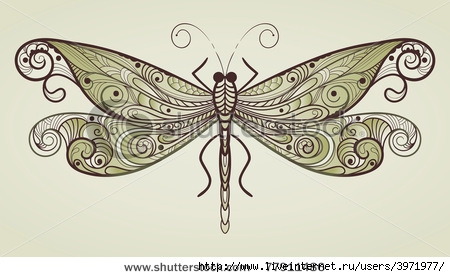 stock-vector-vector-dragonfly-with-unique-pattern-77911486 (450x277, 90Kb)