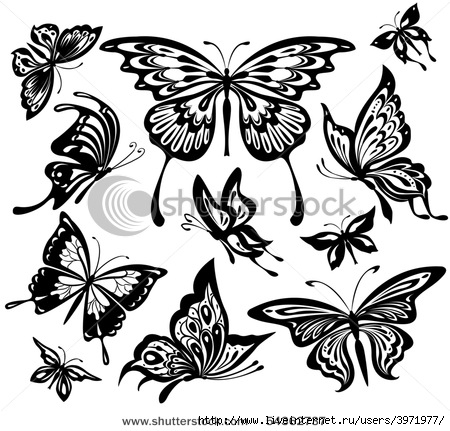 stock-vector-black-and-white-butterflies-54362737 (450x431, 143Kb)