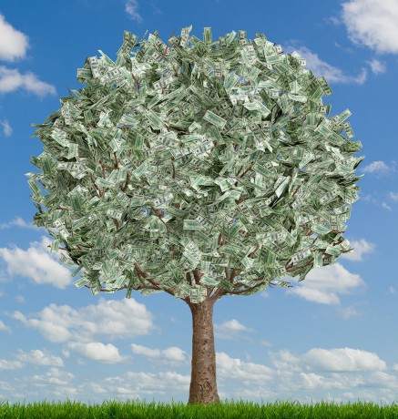money_tree_full_sky-716987-437x460 (437x460, 76Kb)