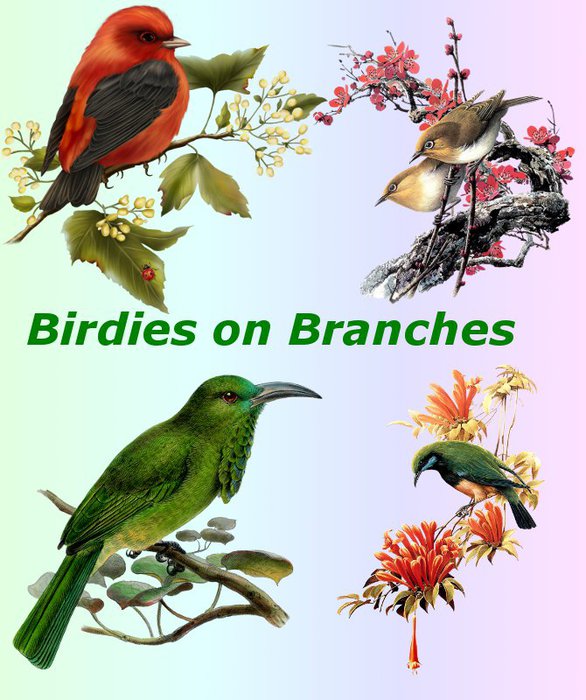 3291761_01Birdies_on_Branches_1_ (586x700, 88Kb)