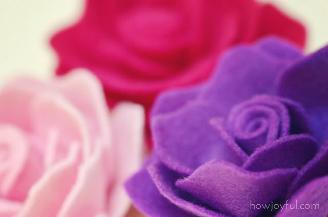 rose-flower-7 (640x425, 24Kb)