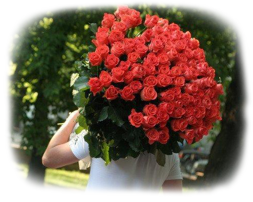 3856133_58323011_56110197_846863782a261 (500x400, 393Kb)