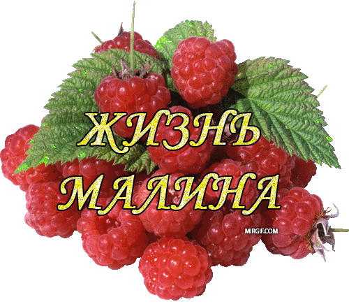 zhizn_malina (500x435, 281Kb)